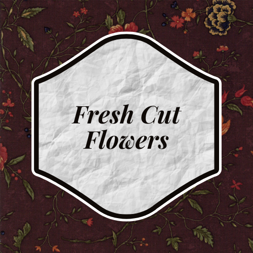 Fresh Cut Flowers