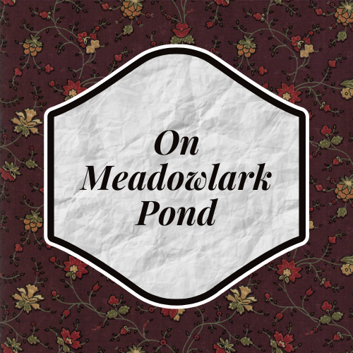 On Meadowlark Pond
