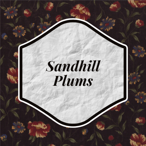 Sandhill Plums