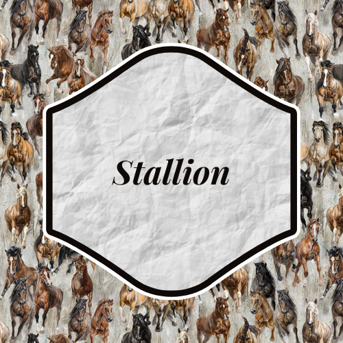 Stallion