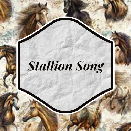Stallion Song