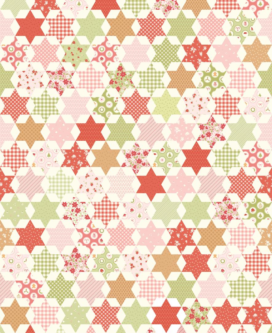 December Darling Cheater Snow 31819 11 Moda #1