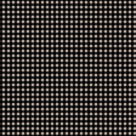 Pumpkin Grove 11186-J Black Gingham