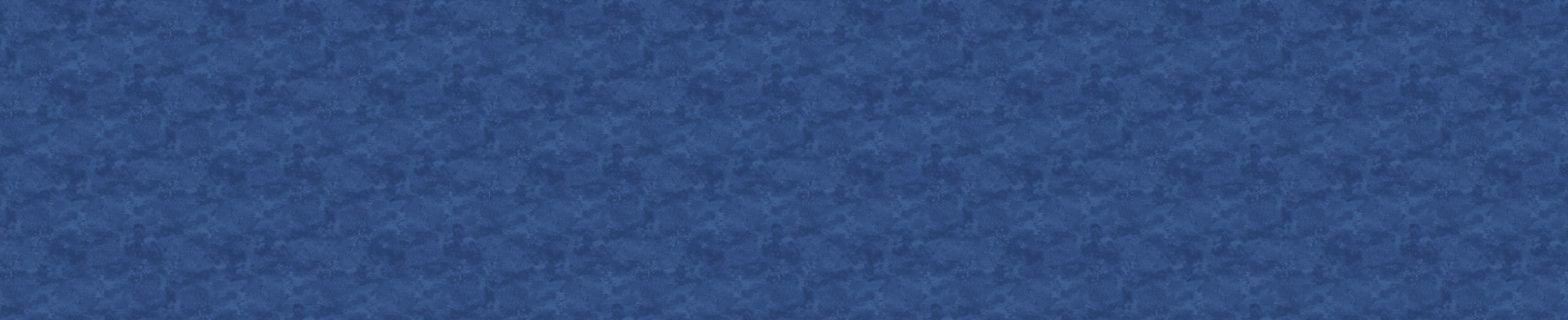 118" Wide Quilt Back - Toscana BX9020-49 Patriot Blue