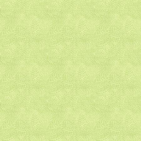 118" Wide Quilt Back - Waved Light Green Cotton Sateen Backing