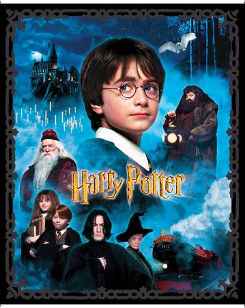 Harry Potter Panel Multi 15212-99