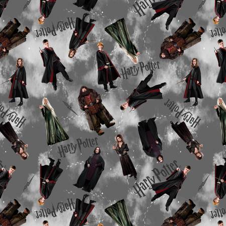 Harry Potter Characters Gray 15217-11