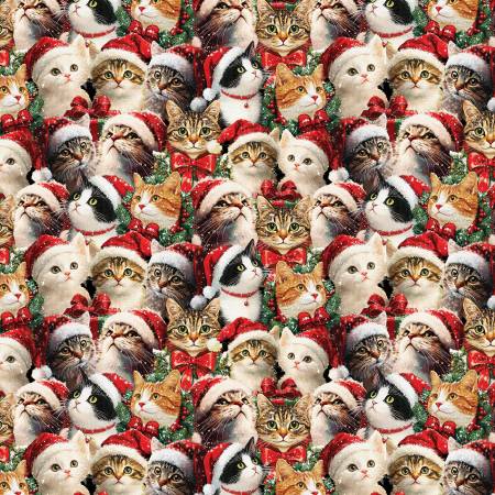 Merry Cats Portraits Multi 16773-99