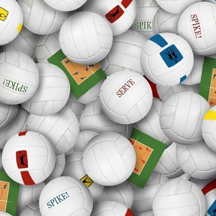 Sports Collection Volleyballs