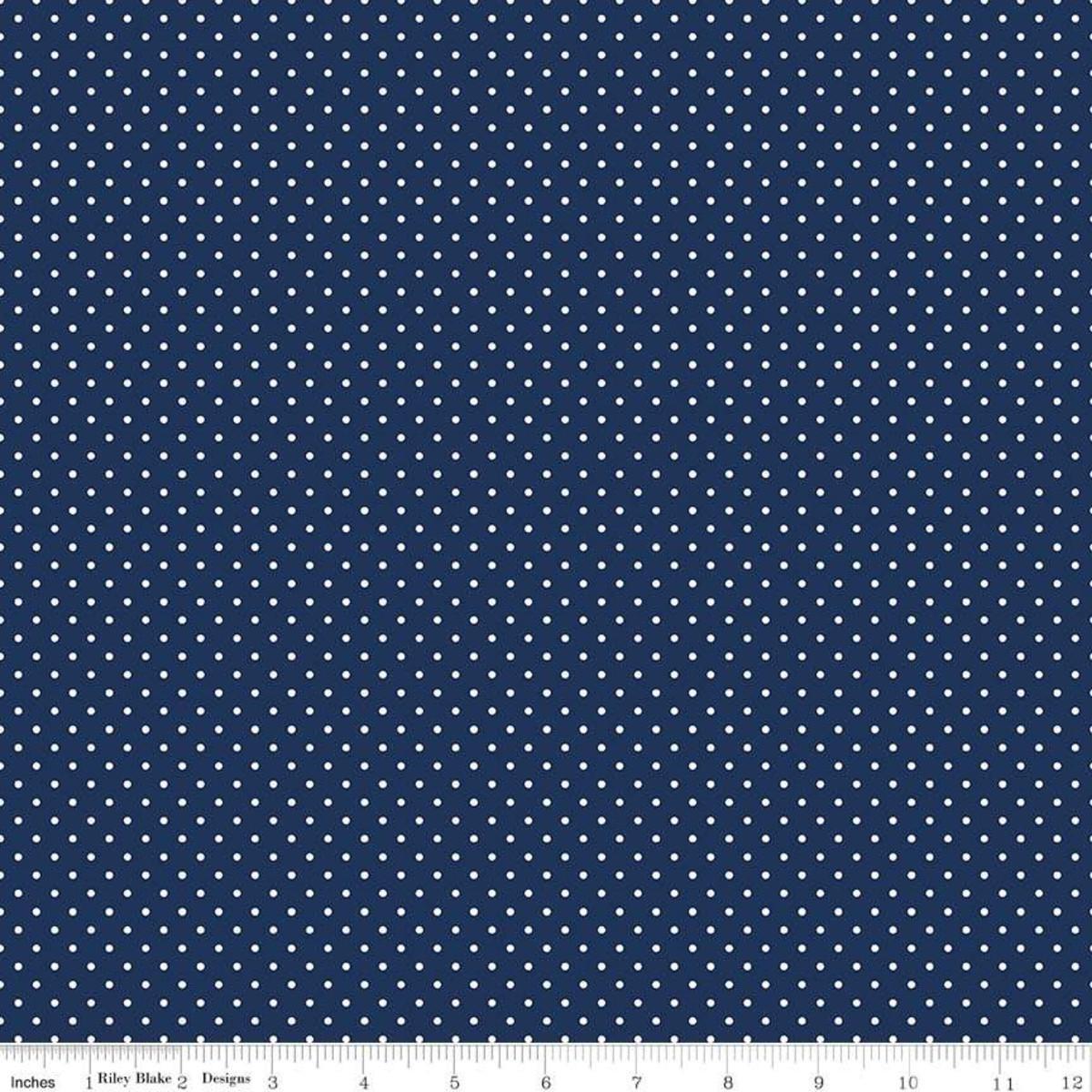 Swiss Dots Navy C670-21