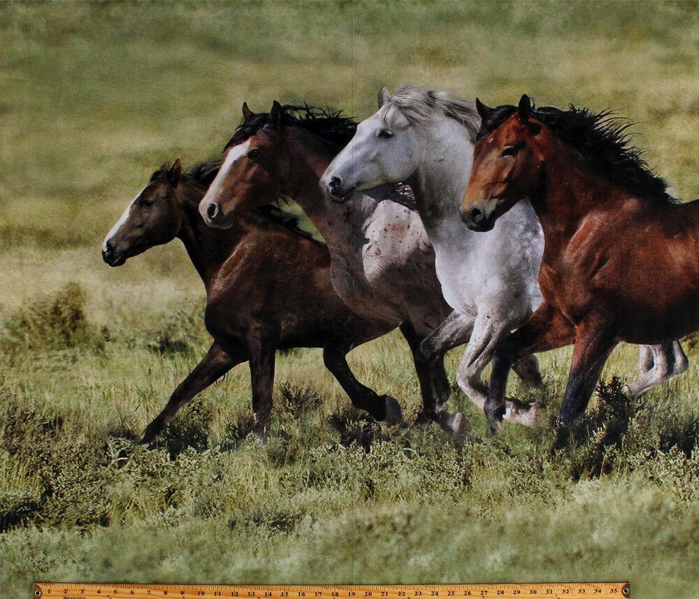 Wide Open Spaces Horses Digital