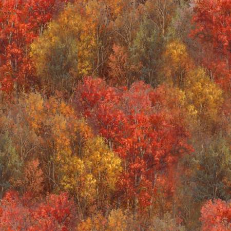 Whitetail Country Forest Texture Multi 22201-MLT