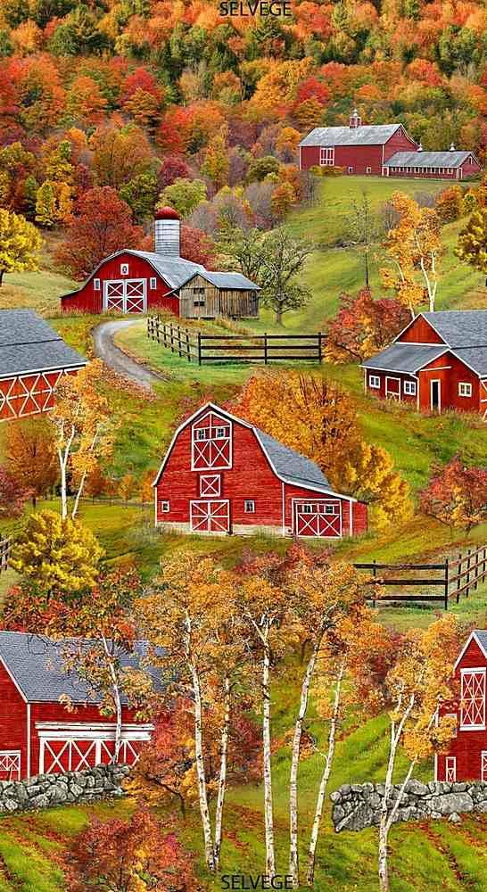 Fall Barns Panel C7814-Multi