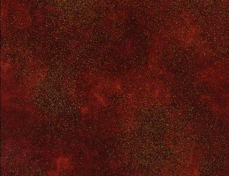 Shimmer Spice