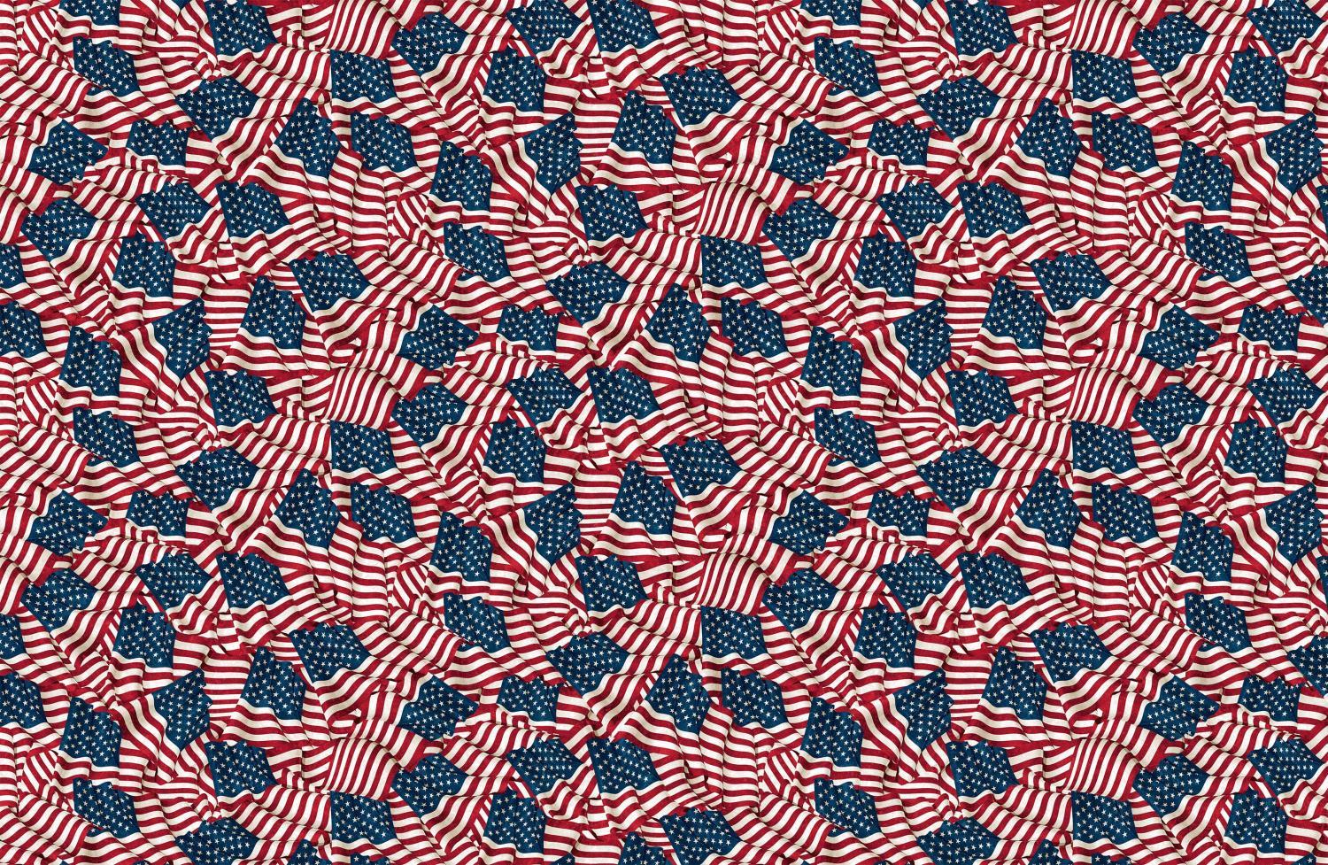 15" - Stars & Stripes 10th Anny 24284-49