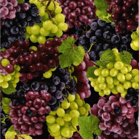 Grapes OA594961