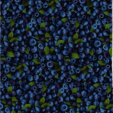 Blueberries OA594931