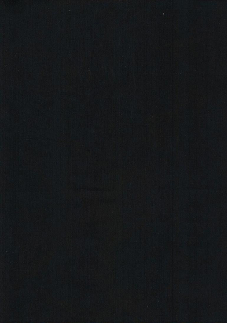 1 yard 4" - Tonga B7900-Espresso