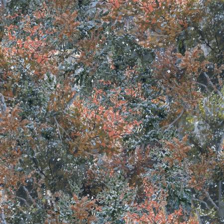 Under the Moon Pine Scrub 23765-BRN