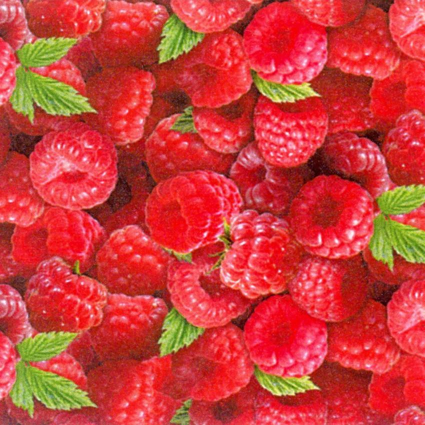 Berry Good 154-Raspberry