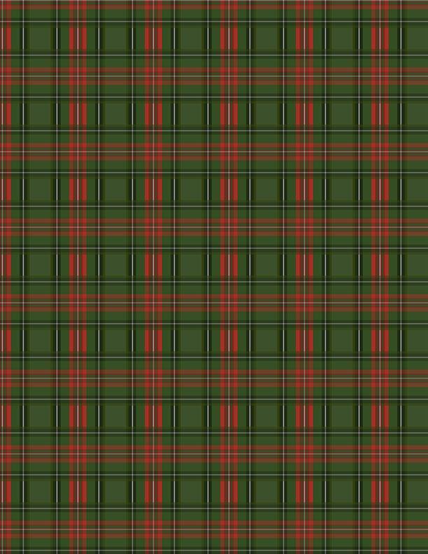 Tartan Holiday 27668-734