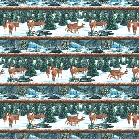 Frosty Woodlands 24252-721 Repeating Stripe Multi