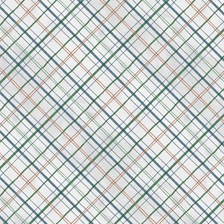 Frosty Woodlands 24257-947 Plaid Light Gray