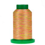 Isacord Variegated #9914 Neon Nights