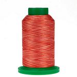 Isacord Variegated #9924 Atomice Orange