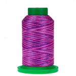 Isacord Variegated #9973 Summer Peonies