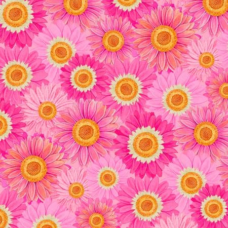Paisley Punch 27714-385 Multi Packed Flowers