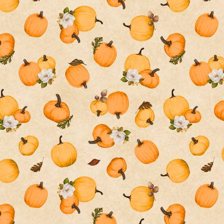 Oh My Gourd 27747-282 Tossed Pumpkins Cream