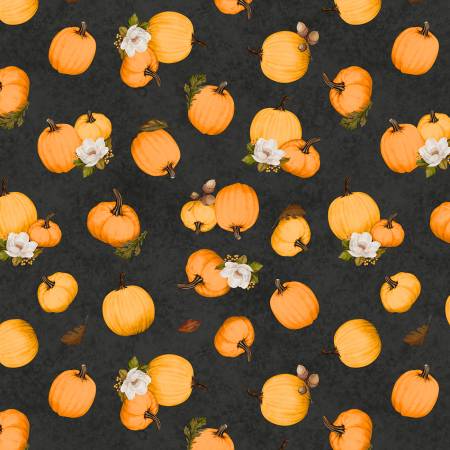 Oh My Gourd 27747-982 Tossed Pumpkins Black