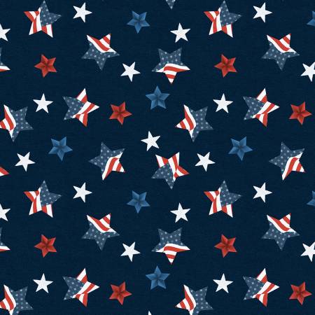 Stars of Valor Navy Star Toss Patriotic 30086-443