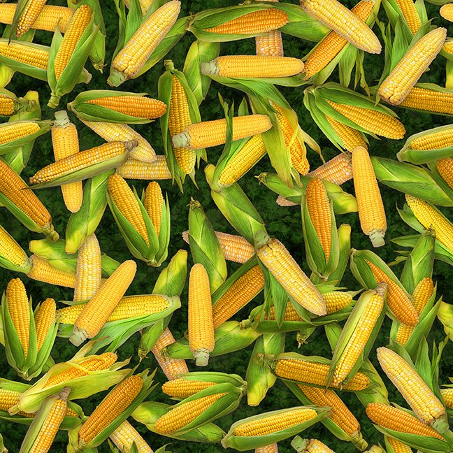 2025 All Indiana Shop Hop Corn 31111 - F Navy