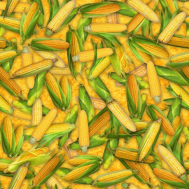 2025 All Indiana Shop Hop Corn 31111 - S Yellow