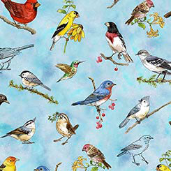 Drawn to Birds - Tossed Birds 31135-B