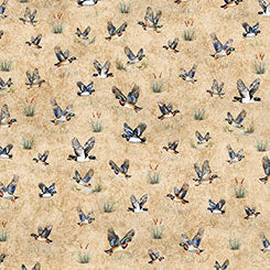 Forest Field and Stream Ducks  31409-A