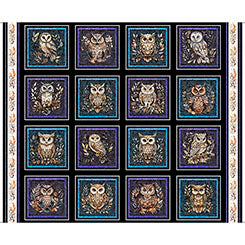 Night Owls - Owl Picture Patches 31565-J