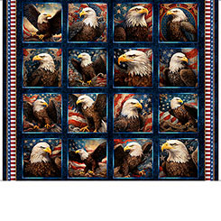 1776 - Eagle Picture Patches 31660-N