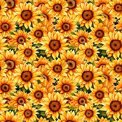 Sunflower Serenade 31804-G Packed Sunflowers