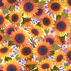 Mountains are Calling 32188-S Sunflowers