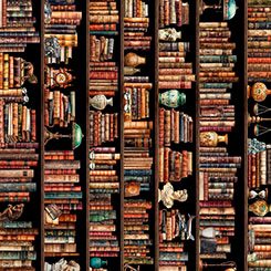 Book Club 32254-X Bookshelf Border Stripe