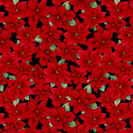 Cardinal Cozy Black Packed Poinsettias 33892-937