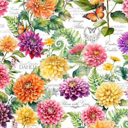 Dahlia Botanica Large Floral Multi 33923-185