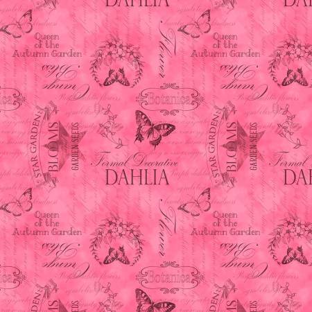Dahlia Botanica Ephemera Pink 33927-339