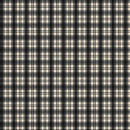 Cardinal Charm 39933-199 Plaid Cream/Black