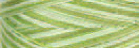 Signature Variegated Thread SM085 - Pohlar Fabrics