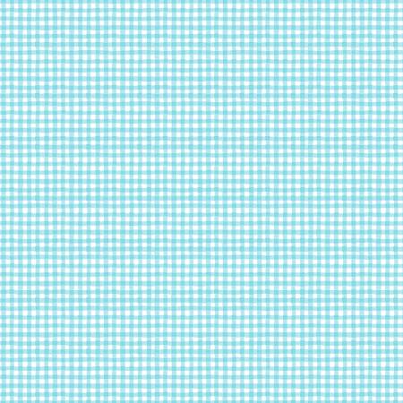 Rainbow Dreams Blue Gingham 43024-441