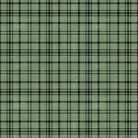 Timberland Trails 45609-797 Green Plaid Texture